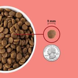 Acana Indoor Yüksek Proteinli Tavuk ve Balıklı Evde Beslenen Kediler İçin Yetişkin Kedi Maması 1,8 kg - 5