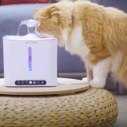 Aclıum Sensörlü Kedi Su Sebili 2,4 Lt - 2