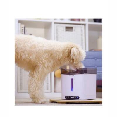 Aclıum Sensörlü Köpek Su Sebili 2,4 L - 2