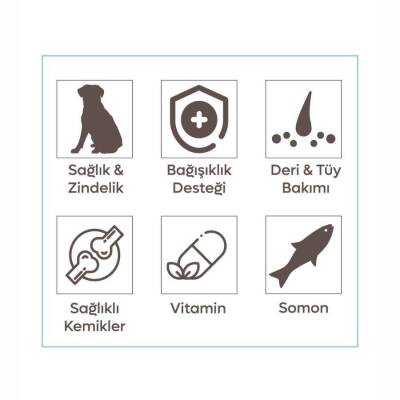 Animal World Somonlu Orta ve Büyük Yetişkin Irk Köpek Maması 15 kg - 2