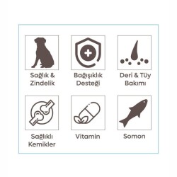 Animal World Somonlu Orta ve Büyük Yetişkin Irk Köpek Maması 15 kg - 2