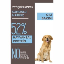 Animal World Somonlu Orta ve Büyük Yetişkin Irk Köpek Maması 15 kg - 4