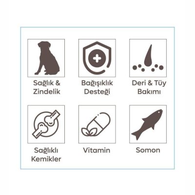 Animal World Somonlu Orta ve Büyük Yetişkin Irk Köpek Maması 15 kg - 2