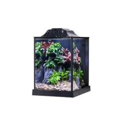 Anubias S36 Nano Akvaryum Siyah 22,7x27,7x29,9 cm - Anubias
