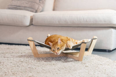 Beeztees DBL Kedi Hamağı, Gri, 51x51x18,5cm - 2