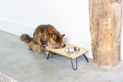 Beeztees DBL Kedi İkili Mama ve Su Kabı, Paslanmaz Çelik, Beyaz, 31x16x10cm, 2x350ml - 2