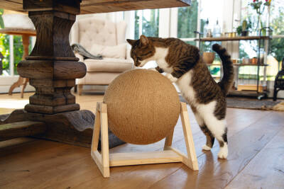 Beeztees DBL Kedi Tırmalama, 34x30x35,5cm - 4