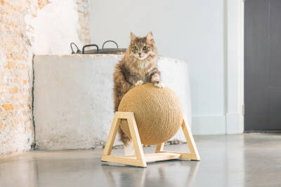 Beeztees DBL Kedi Tırmalama, 34x30x35,5cm - 5