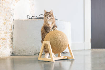 Beeztees DBL Kedi Tırmalama, 34x30x35,5cm - 2