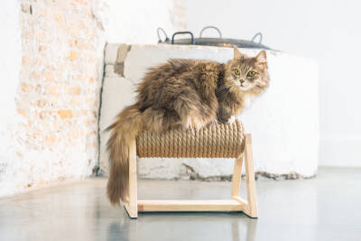 Beeztees DBL Kedi Tırmalama, 36x29,5x28cm - 4