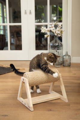 Beeztees DBL Kedi Tırmalama, 36x29,5x28cm - 3