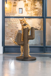 Beeztees DBL Kedi Tırmalama, Boz Siyah, 35x35x60cm - 4