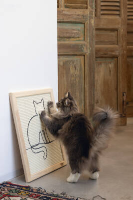 Beeztees DBL Kedi Tırmalama Tahtası, 50x40x2cm - 3