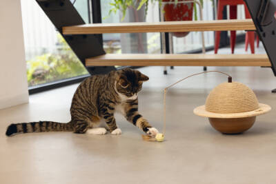 Beeztees DBL Kedi Tırmalama ve Oyuncağı, 29,5x29,5x20cm - 2