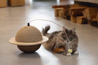 Beeztees DBL Kedi Tırmalama ve Oyuncağı, 29,5x29,5x20cm - 5