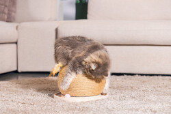 Beeztees DBL Kedi Tırmalama ve Oyuncağı, 29,5x29,5x22cm - 2