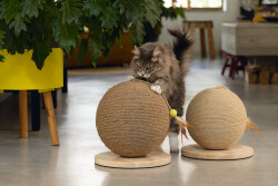 Beeztees DBL Kedi Tırmalama ve Oyuncağı, 30x30x27cm - 4