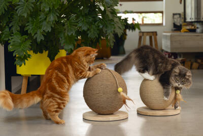 Beeztees DBL Kedi Tırmalama ve Oyuncağı, 30x31x31,5cm - 3