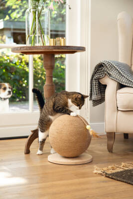 Beeztees DBL Kedi Tırmalama ve Oyuncağı, 30x31x31,5cm - 2