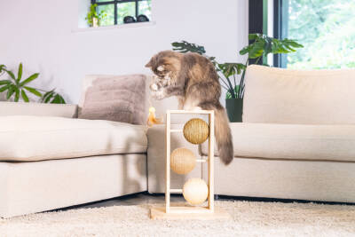 Beeztees DBL Kedi Tırmalama ve Oyuncağı, 34,5x29,5x50cm - 3