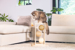 Beeztees DBL Kedi Tırmalama ve Oyuncağı, 34,5x29,5x50cm - 3