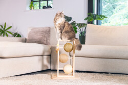 Beeztees DBL Kedi Tırmalama ve Oyuncağı, 34,5x29,5x50cm - 5