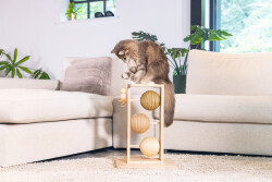 Beeztees DBL Kedi Tırmalama ve Oyuncağı, 34,5x29,5x50cm - 2