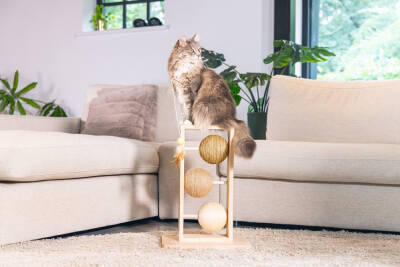 Beeztees DBL Kedi Tırmalama ve Oyuncağı, 34,5x29,5x50cm - 5