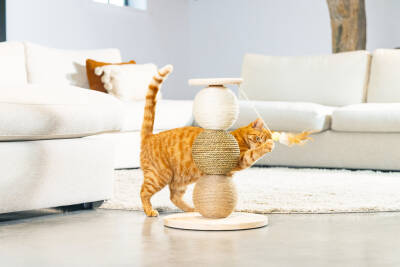 Beeztees DBL Kedi Tırmalama ve Oyuncağı, 34x34x47,5cm - 2