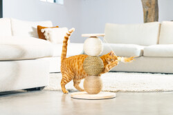 Beeztees DBL Kedi Tırmalama ve Oyuncağı, 34x34x47,5cm - 2