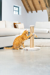 Beeztees DBL Kedi Tırmalama ve Oyuncağı, Açık Gri, 35x35x50cm - 2