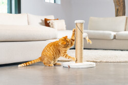 Beeztees DBL Kedi Tırmalama ve Oyuncağı, Açık Gri, 35x35x50cm - 3