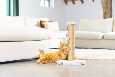 Beeztees DBL Kedi Tırmalama ve Oyuncağı, Açık Gri, 35x35x50cm - 5