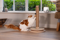 Beeztees DBL Kedi Tırmalama ve Oyuncağı, Kahverengi, 39,5x39,5x62cm - 2