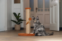 Beeztees DBL Kedi Tırmalama ve Oyuncağı, Toprak Rengi, 35x35x50cm - 2