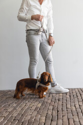 Beeztees DBL Köpek Göğüs Tasması, Velur, Gri, S, 20mm x 52cm - 5