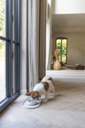 Beeztees DBL Köpek Mama Su Kabı, Bambu, Bej, 14cm, 410ml - Beeztees