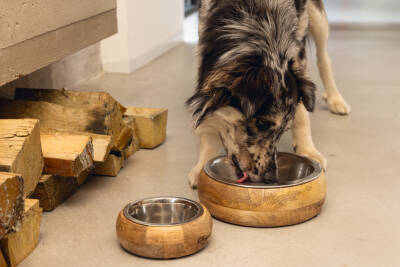 Beeztees DBL Köpek Mama Su Kabı, Dışı Masif Ahşap, Paslanmaz Çelik, 21cm, 1300ml - 2