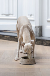 Beeztees DBL Köpek Mama Su Kabı, Mat Altın Rengi Paslanmaz Çelik, Bej Mermer Görünümlü, 17,5cm, 350m - 4