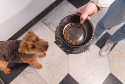 Beeztees DBL Köpek Mama Su Kabı, Mat Siyah Paslanmaz Çelik, Siyah Mermer Görünümlü, 17,5cm, 350ml - 2