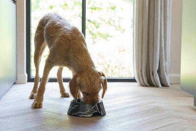 Beeztees DBL Köpek Mama Su Kabı, Mat Siyah Paslanmaz Çelik, Siyah Mermer Görünümlü, 22cm, 700ml - 4