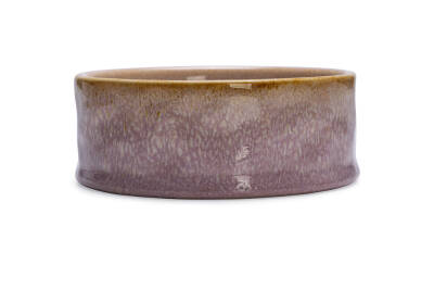 Beeztees DBL Köpek Mama Su Kabı, Seramik, Pembe, 13,5cm, 500ml - 3