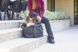 Beeztees DBL Köpek Taşıma Çantası, Yıkanabilir, 6,5Kg'ye kadar, Antrasit, 42x20x35cm - 2