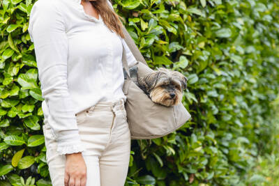 Beeztees DBL Köpek Taşıma Çantası, Yıkanabilir, 6,5Kg'ye kadar, Bej, 40x20x28cm - 5