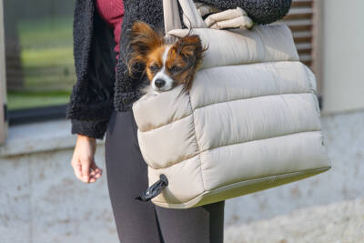 Beeztees DBL Köpek Taşıma Çantası, Yıkanabilir, 6,5Kg'ye kadar, Bej, 42x20x35cm - 2