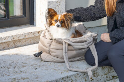 Beeztees DBL Köpek Taşıma Çantası, Yıkanabilir, 6,5Kg'ye kadar, Bej, 42x20x35cm - 5