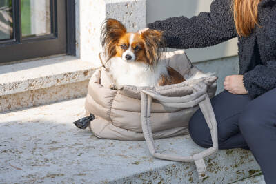 Beeztees DBL Köpek Taşıma Çantası, Yıkanabilir, 6,5Kg'ye kadar, Bej, 42x20x35cm - 5