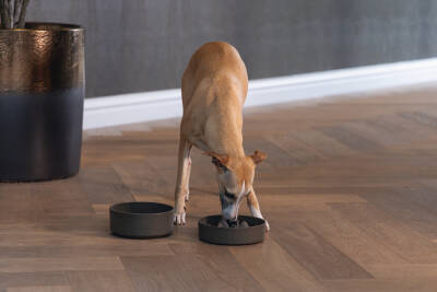 Beeztees DBL Köpek Yavaş Besleme Mama Kabı, Bambu, Antrasit, 17cm, 800ml - 3