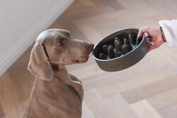 Beeztees DBL Köpek Yavaş Besleme Mama Kabı, Bambu, Antrasit, 21cm, 1430ml - 2