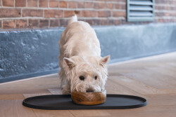 Beeztees DBL Mama Su Kabı Servisi, Silikon, Kaymaz, Antrasit, 45x25x1,5cm - 3